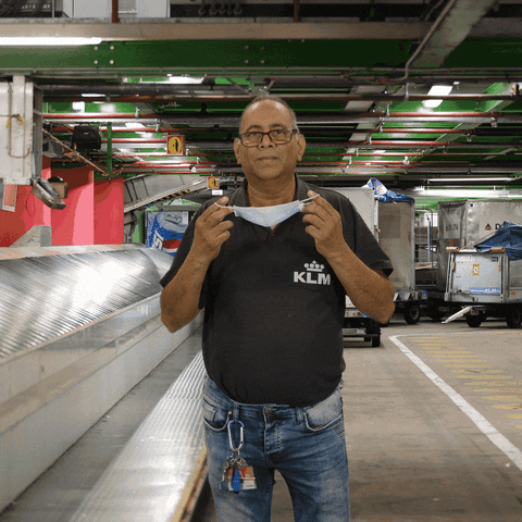 Royal Dutch Airlines Thumbs Up GIF by KLM