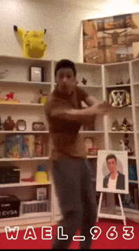 Wael GIF