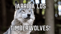 ¡Arriba los Timberwolves!