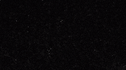 LX_GIFS andrew yang ubi lx GIF