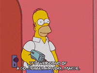 homer simpson episode 10 GIF