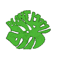 sanne69 summer green flowers spring Sticker