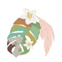 Monstera Deliciosa Illustration Sticker by katlyn boone