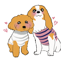 Dog Cavaliers Sticker