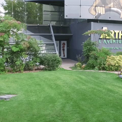 arthur GIF by Futuroscope