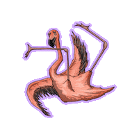 Awkward Fun Sticker by Gangly Flamingo Podcast