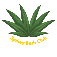 Spikeybush Sticker by Greyhound Rescue