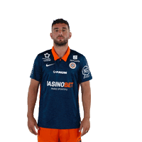 Ferri Raler Sticker by MHSC