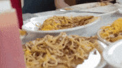 big cat pft GIF by Barstool Sports