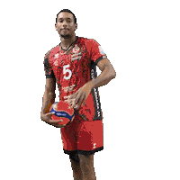 Volleyball Msl Sticker by CVB52