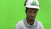 prosegpa  GIF