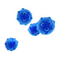 Sticker Corona Sticker by vspfilmakers