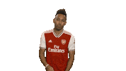 Premier League Football Sticker by Arsenal