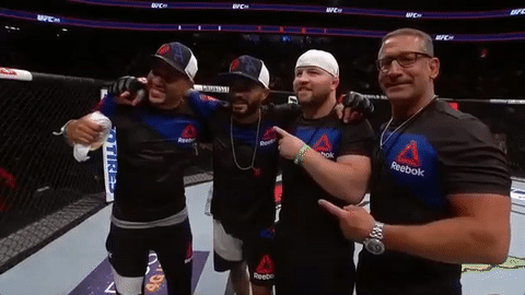 ufc 213 GIF