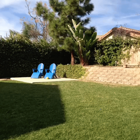 jethroames loop magic howto GIF