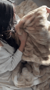 Blanket GIF by mammamiacovers