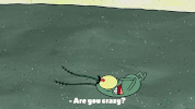 episode 5 spongebob's place GIF by SpongeBob SquarePants