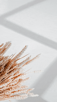 basakdeva  GIF