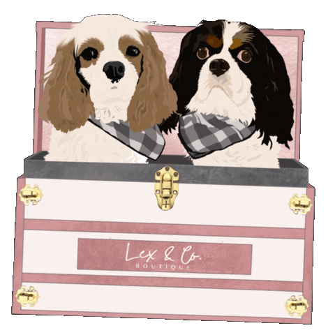 Sticker by Lex & Co