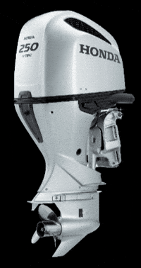 HondaMarine honda mercury outboard honda marine GIF