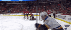 st louis sport GIF by St. Louis Blues