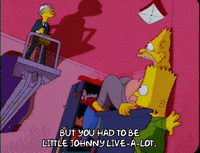 bart simpson episode 22 GIF