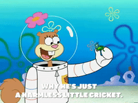 season 5 the inmates of summer GIF by SpongeBob SquarePants