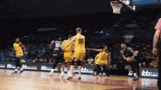 Slam Dunk Basketball GIF by Caledonia Gladiators
