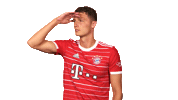 Bayern Munich Football Sticker by Bundesliga