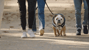 Happy Butler Bulldogs GIF by Butler University