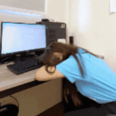 mdanielag50 giphysubir GIF