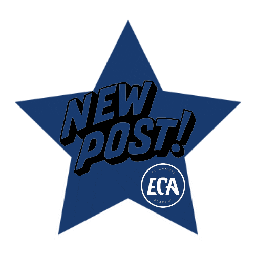 elcambioacademy giphyupload football new post newpost Sticker