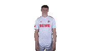 1 Fc Cologne Football Sticker by 1. FC Köln