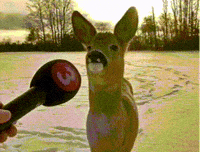 Itsburger010 itsburger010 GIF