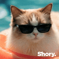 Petinsurance GIF by getShory
