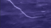 The Wave GIF by Bedouine