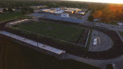 indiana GIF