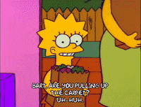 homer simpson episode 6 GIF