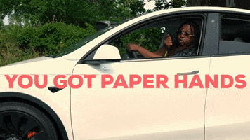 magthepoboy tesla paper hands ray gray donuts in a tesla GIF
