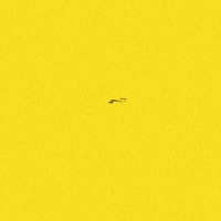 DashKids nft dashkids GIF