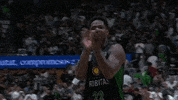 Celebrar Liga Endesa GIF by ACB