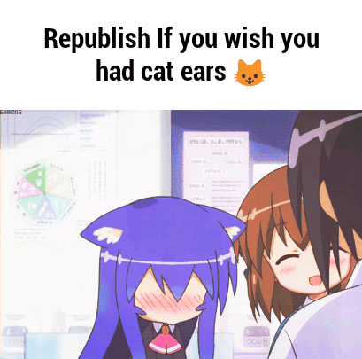 cat ears GIF