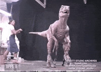 Jurassic Park Raptor GIF by Tippett Studio