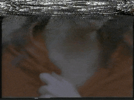 donna deitch glitch GIF by Please Rewind