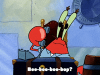 season 3 krab borg GIF by SpongeBob SquarePants