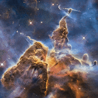 GIF by NowThisNewsTV