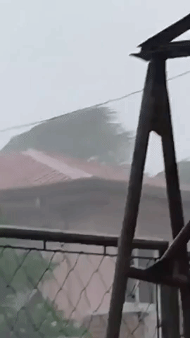 Severe Winds Lash Calapan City as Typhoon Kammuri Moves West Over Philippines