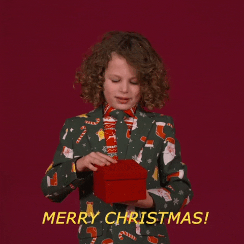 Merry Christmas GIF by OppoSuits