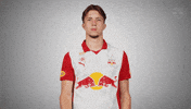 Shake Finger No GIF by FC Red Bull Salzburg