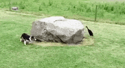 GIF by madmoiZelle